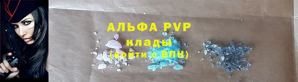 крисы Михайловск