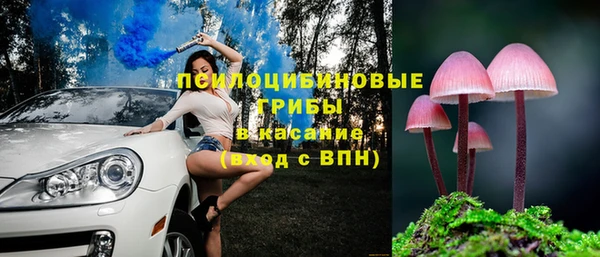 крисы Михайловск