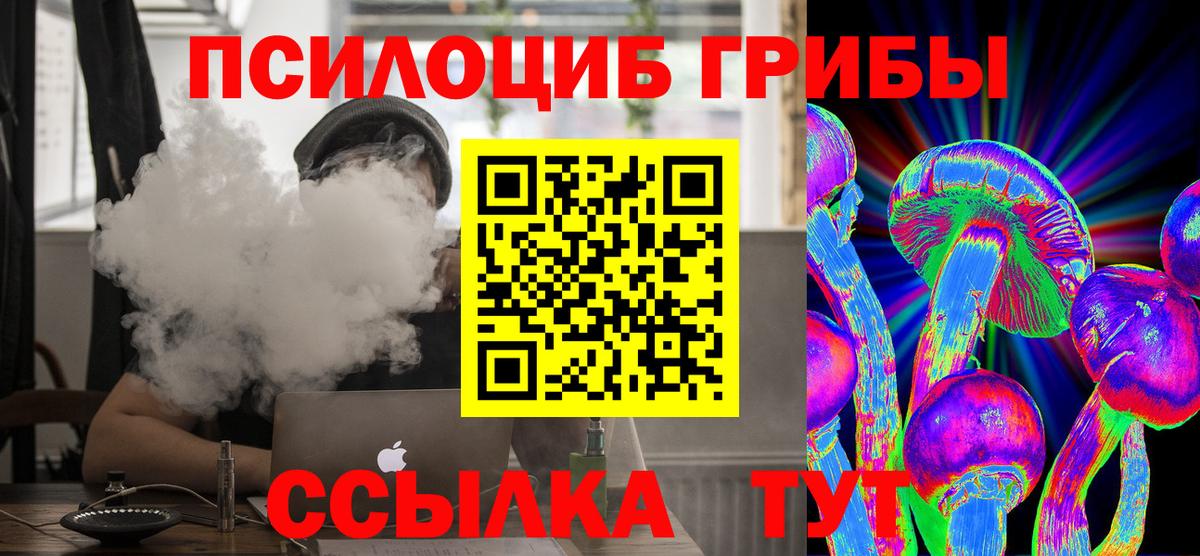 Псилоцибиновые грибы Cubensis  Вход с VPN  Псилоцибиновые грибы MAGIC MUSHROOMS  Красноперекопск 