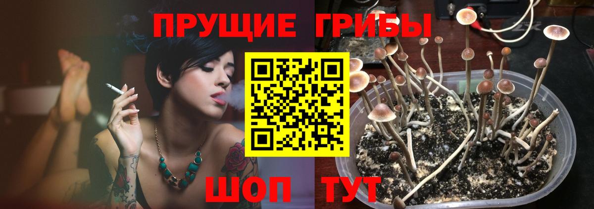 Псилоцибиновые грибы Magic Shrooms Красноперекопск